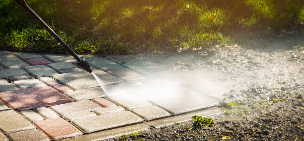 Best Driveway Pressure Washing  in Cedar Hills, OR